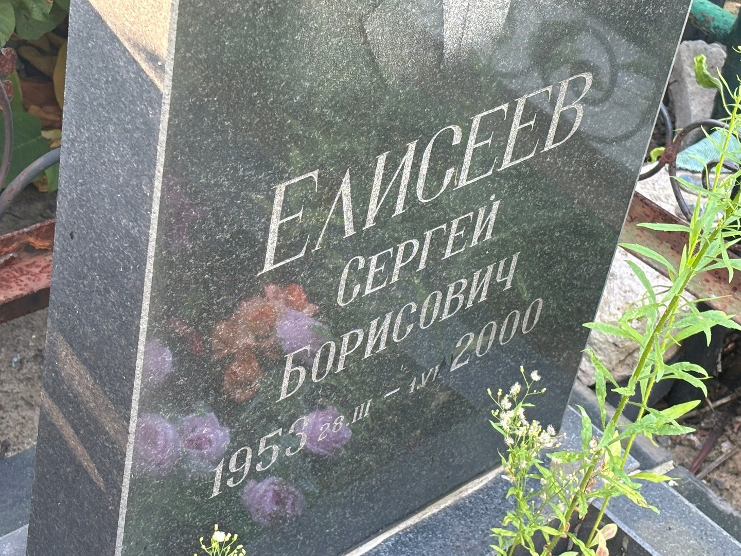 Елисеев