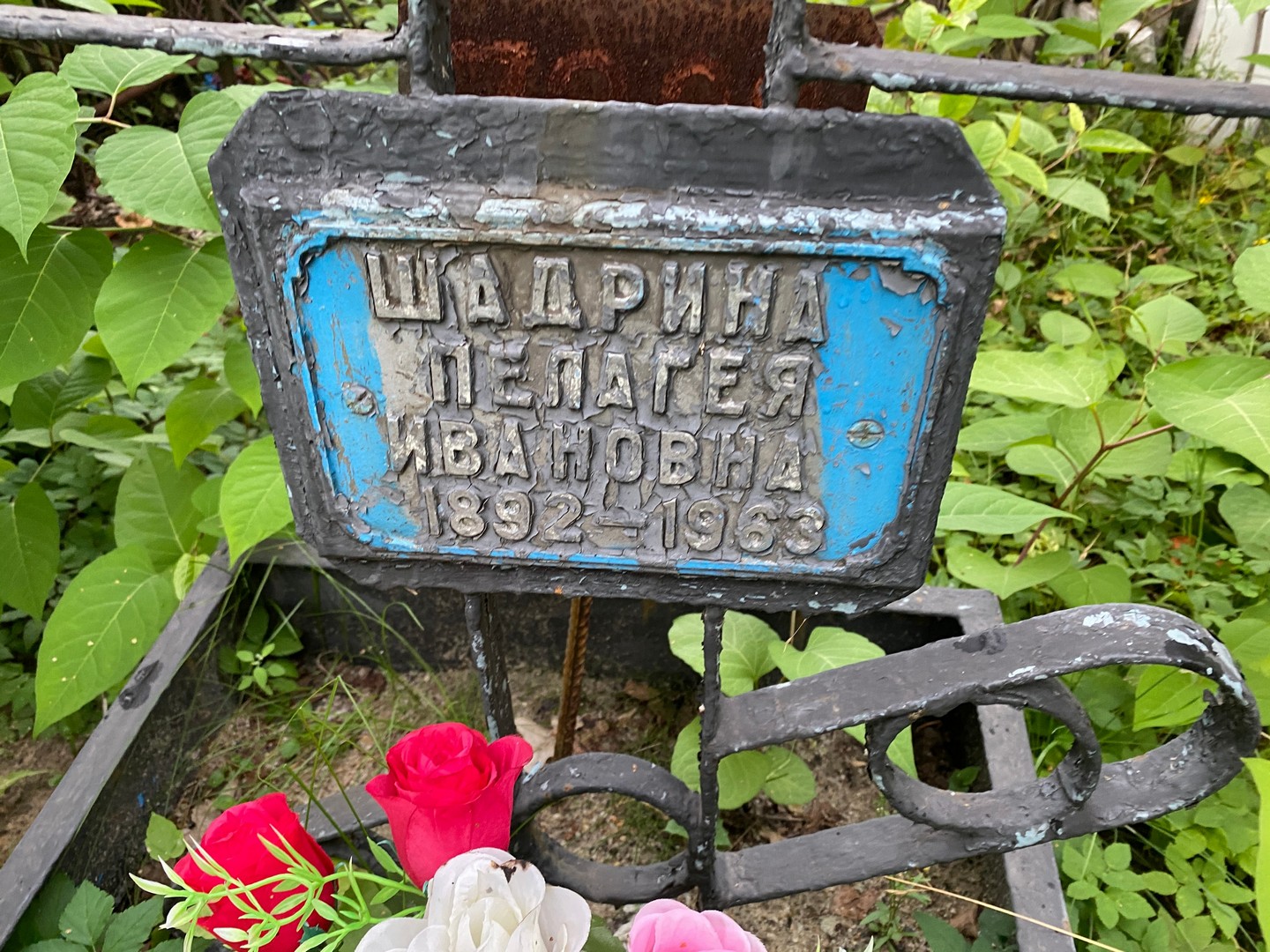 Шадрина Пелагея Ивановна