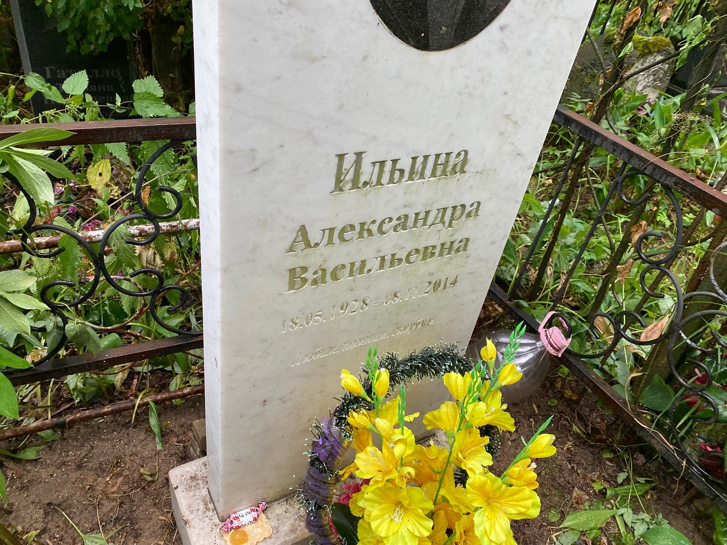Ильина Александра Васильевна