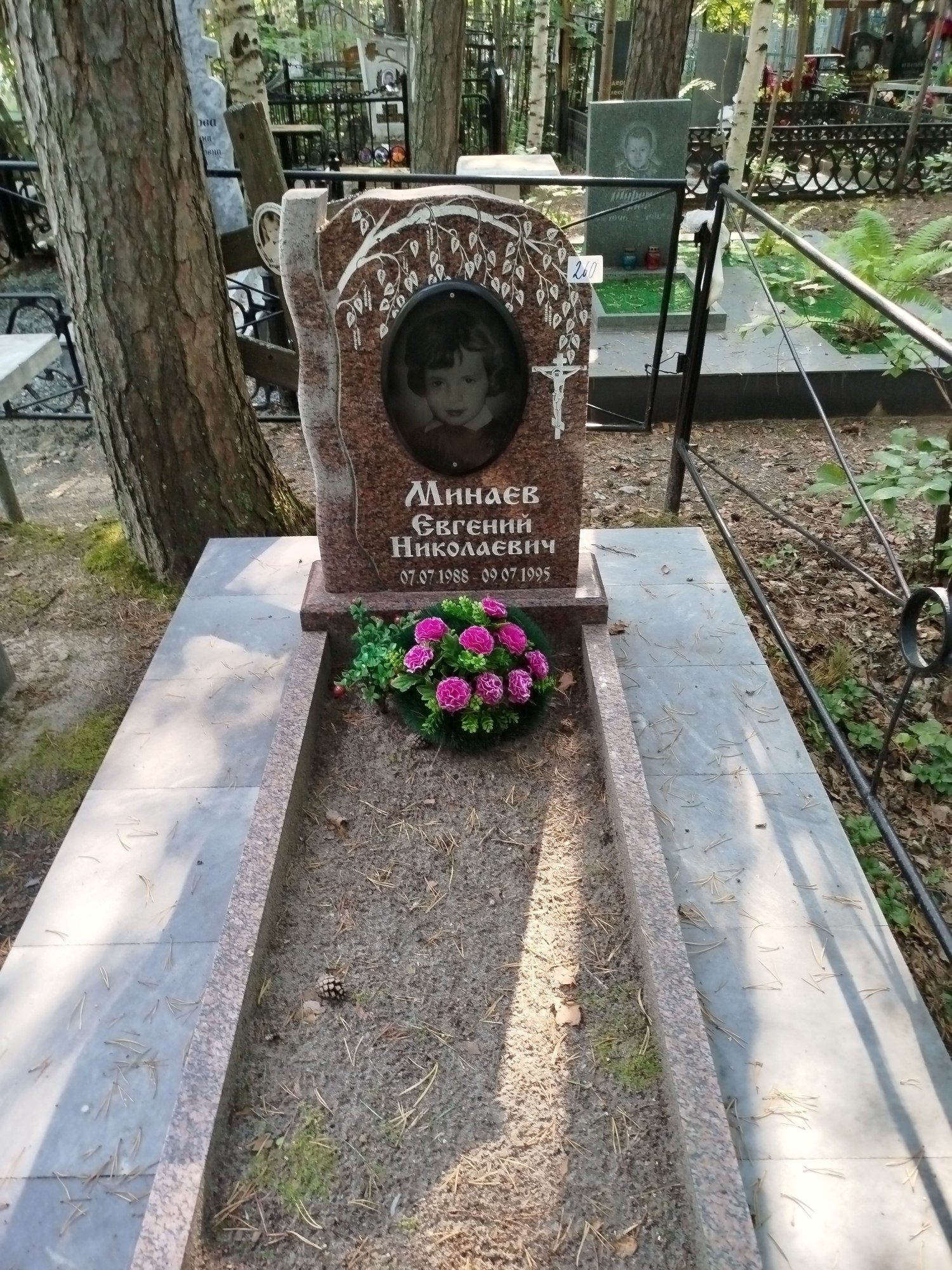 Минаев Евгений Николаевич