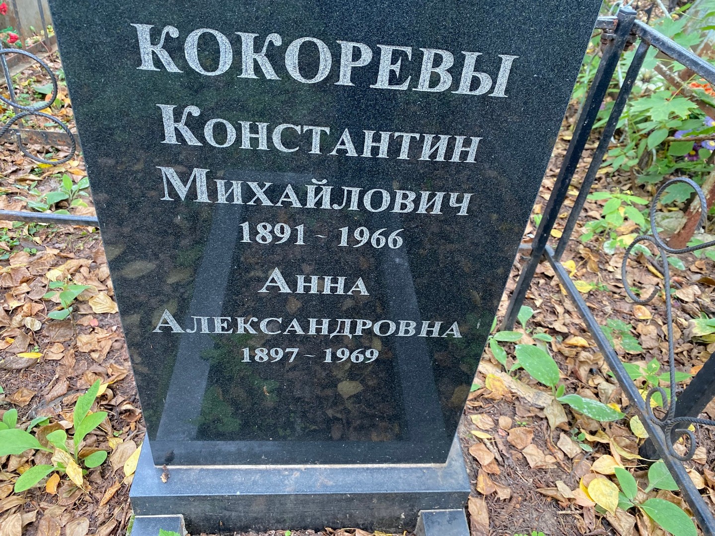 Кокорев