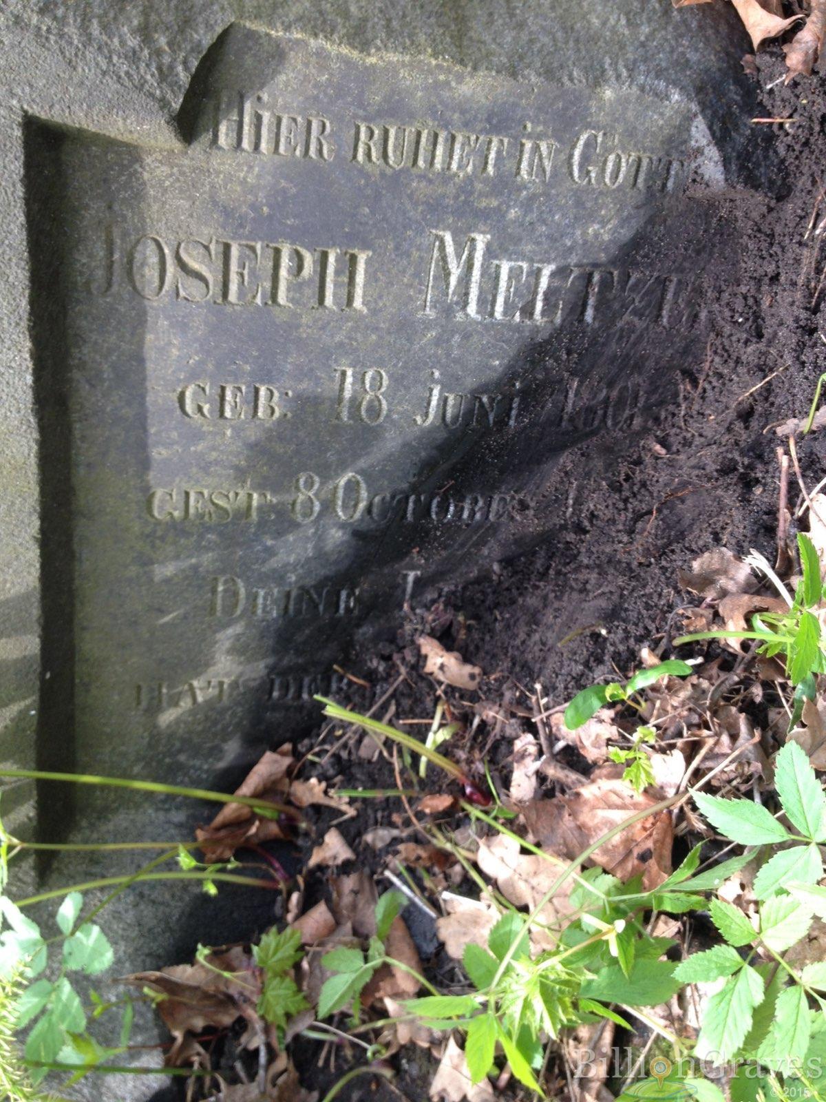 Meltzer Joseph