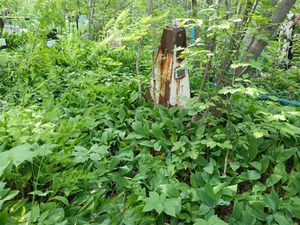 Кулибза Антонина Парфеновна