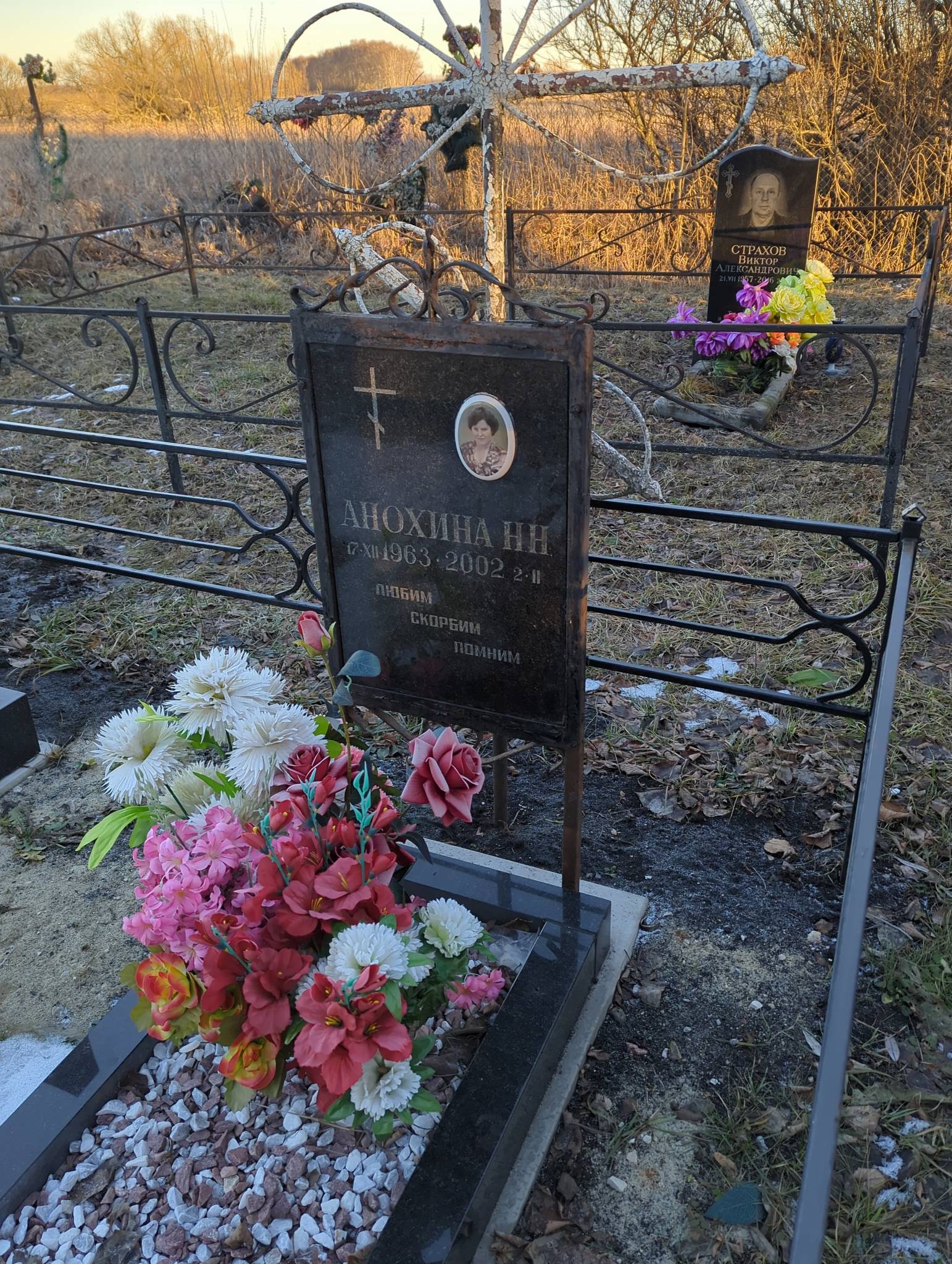Анохина Н. Н.