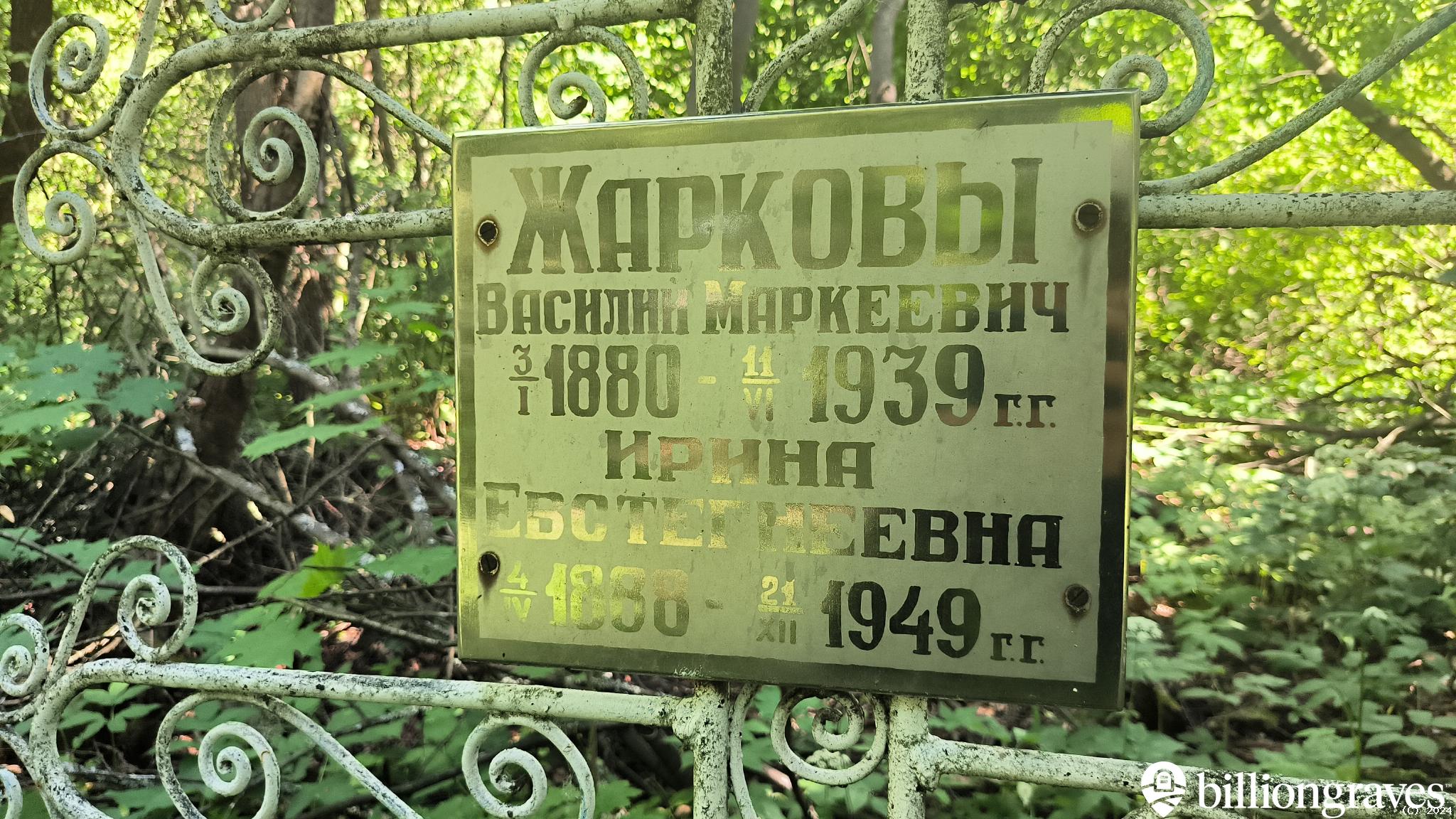 Жаркова Ирина Евстегнеевна
