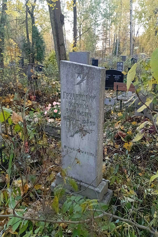 Грудницкий Всеволод Валерьевич