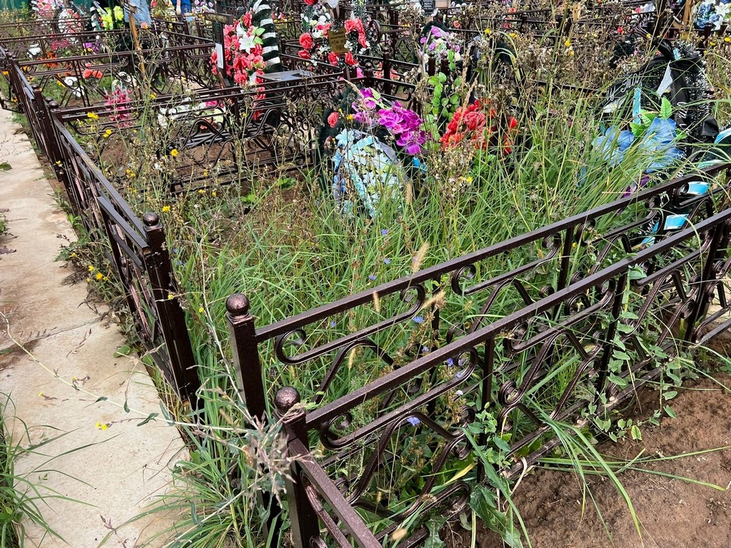 Селемаев Анатолий Михайлович