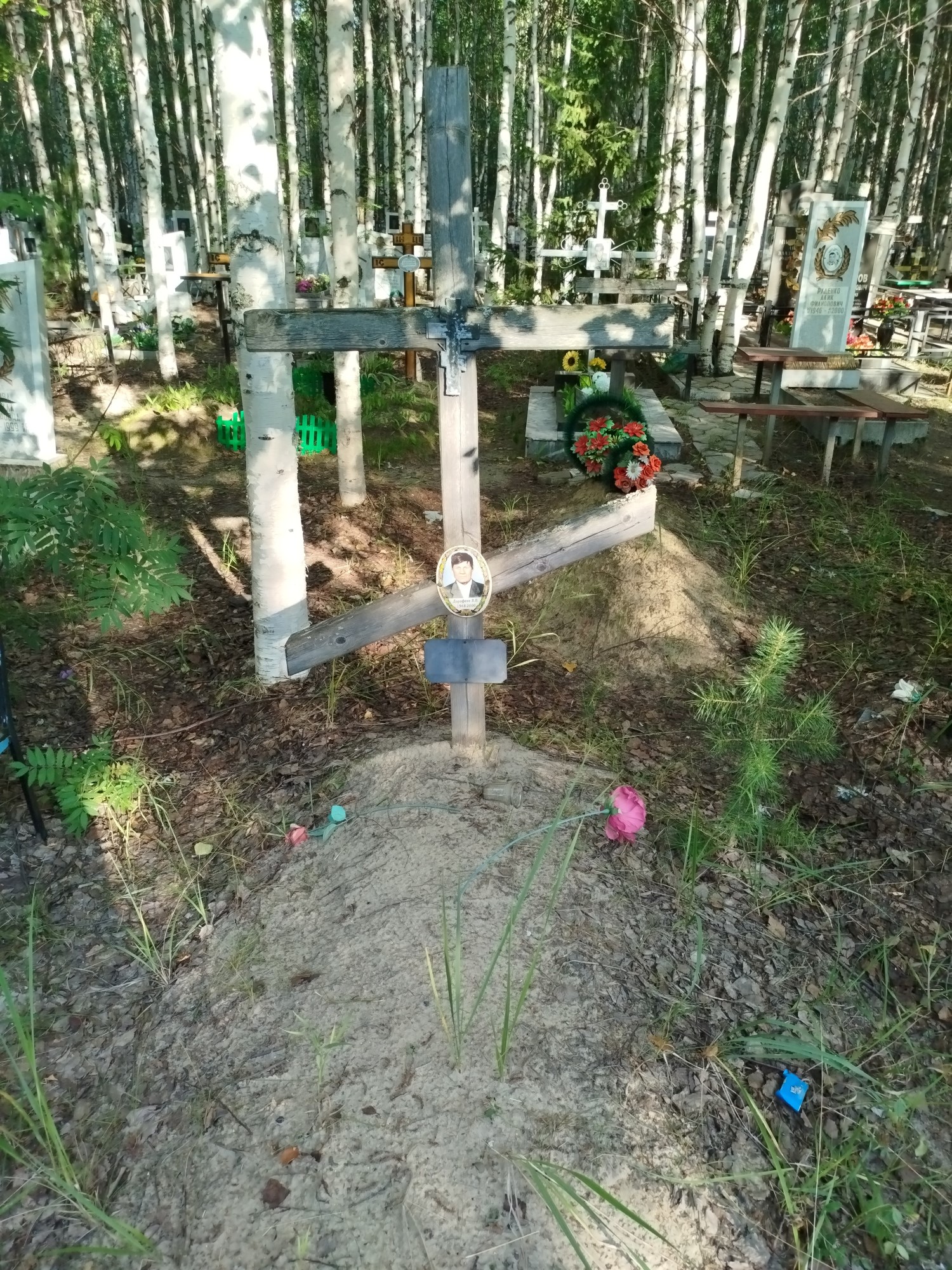 Дорофеев В В