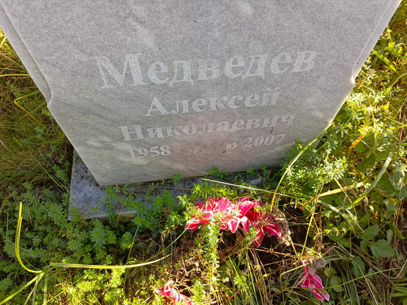 Медведев