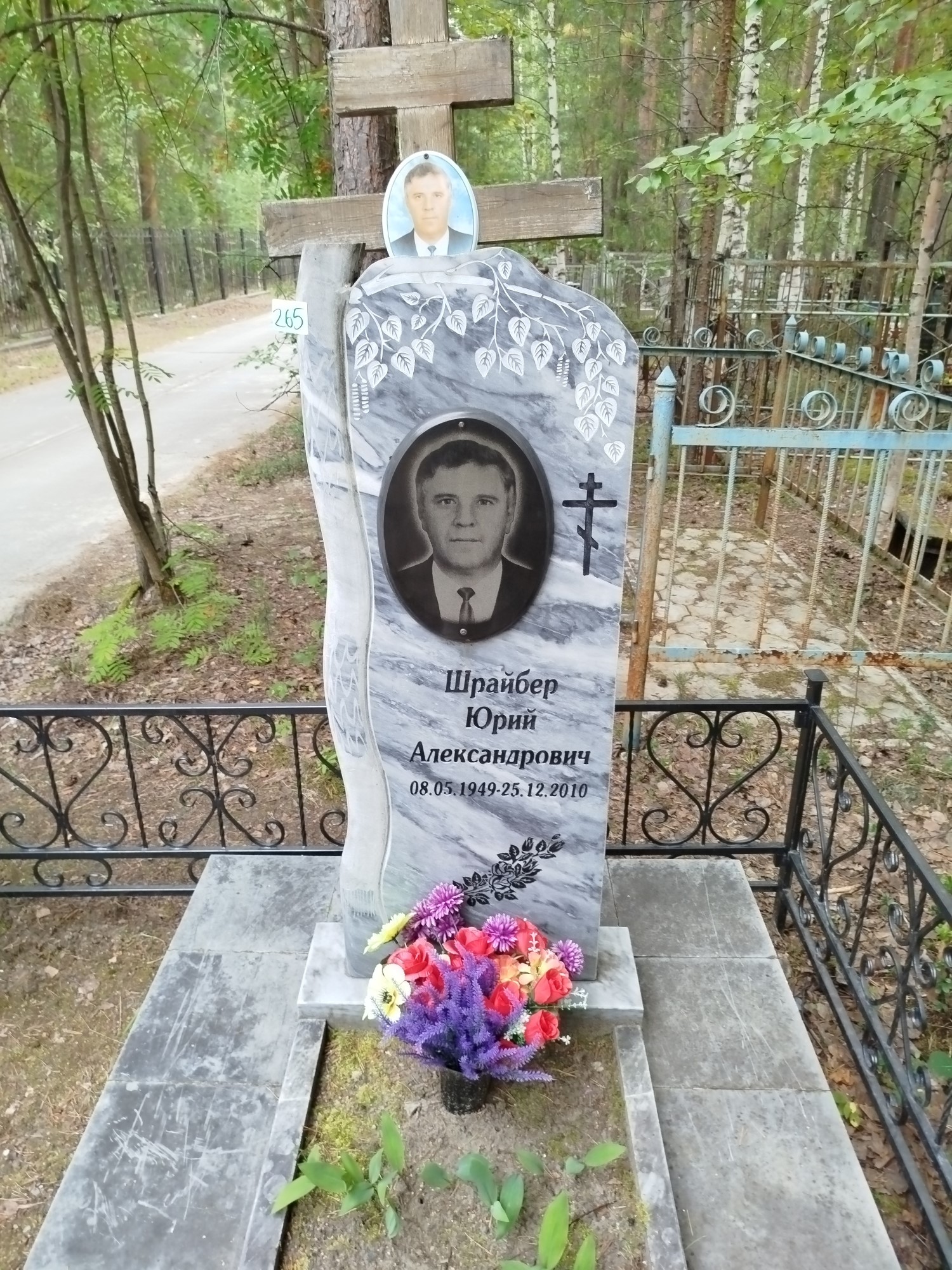 Шрайбер Юрий Александрович