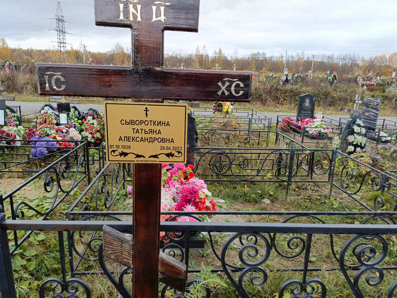 Сывороткина