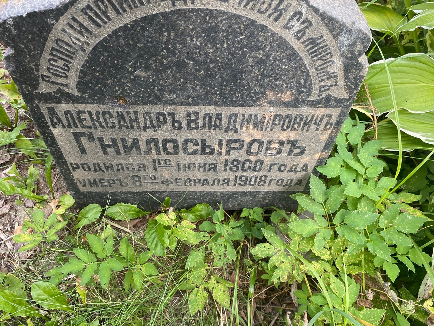 Гнилосыров