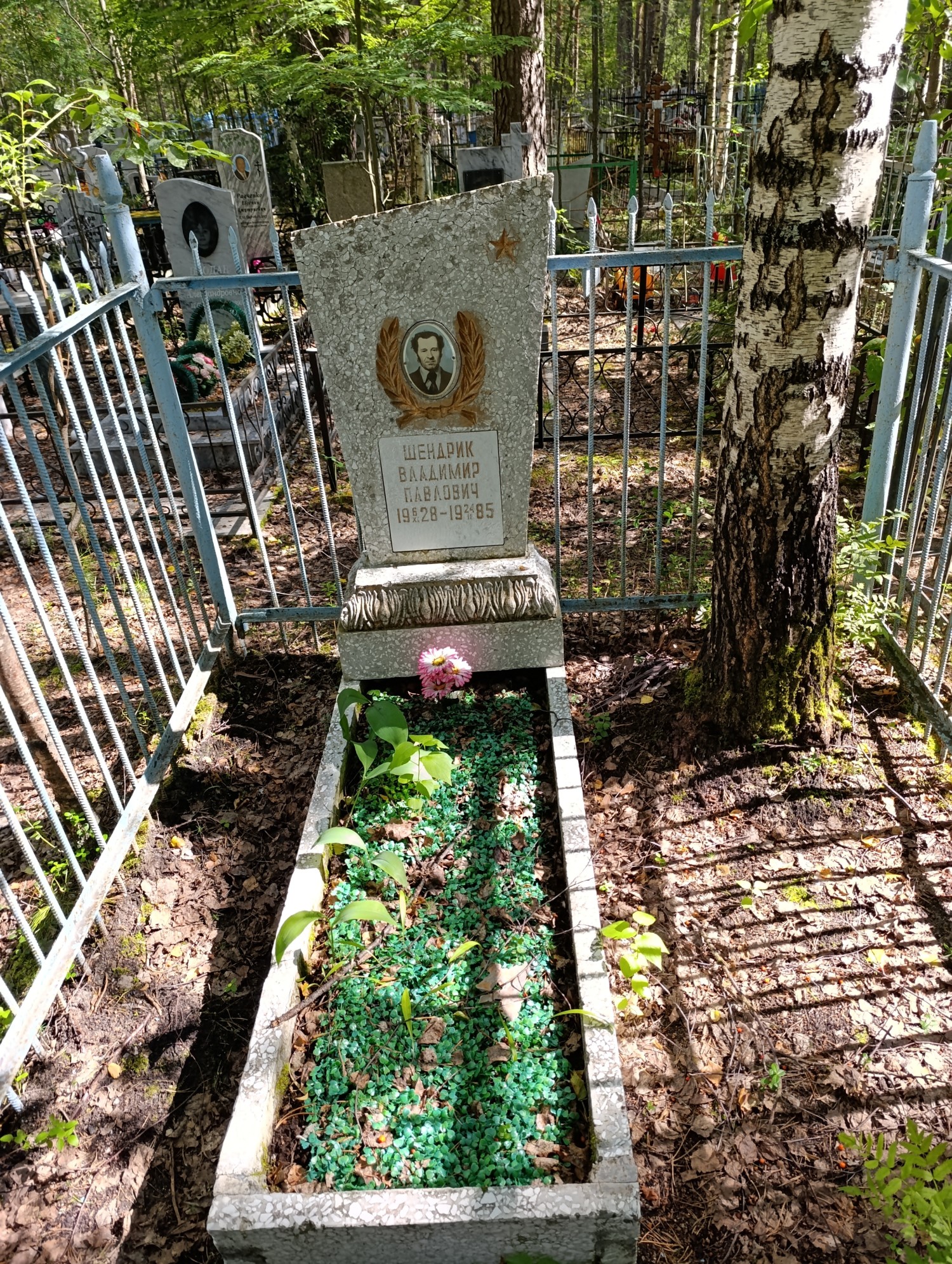Шендрик Владимир Павлович