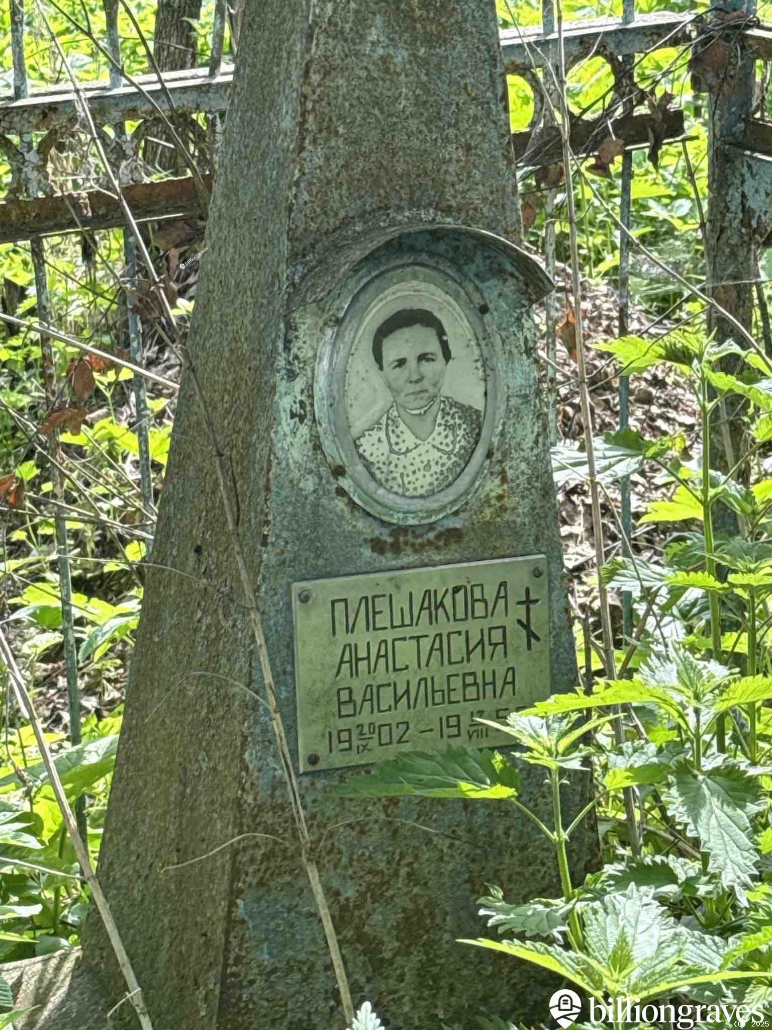 Плешакова Анастасия Васильевна