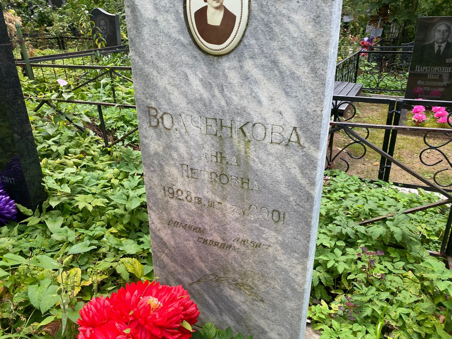 Волченкова