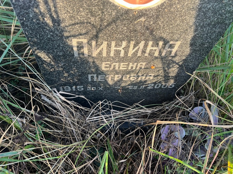 Пикина