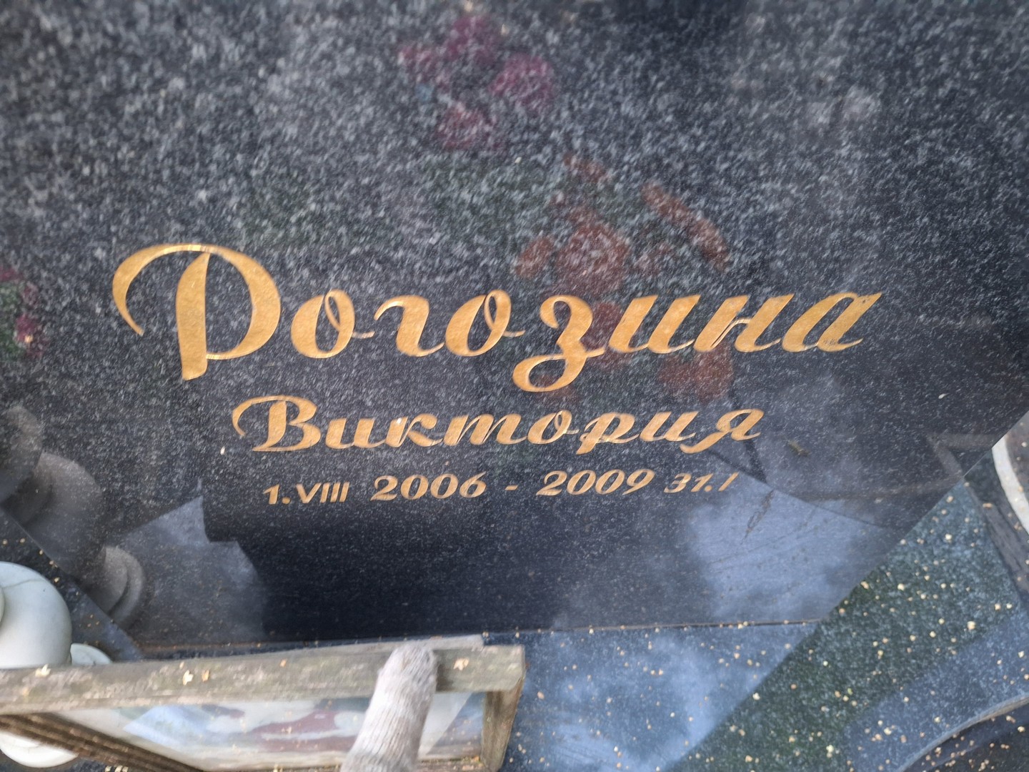 Рогозина Виктория