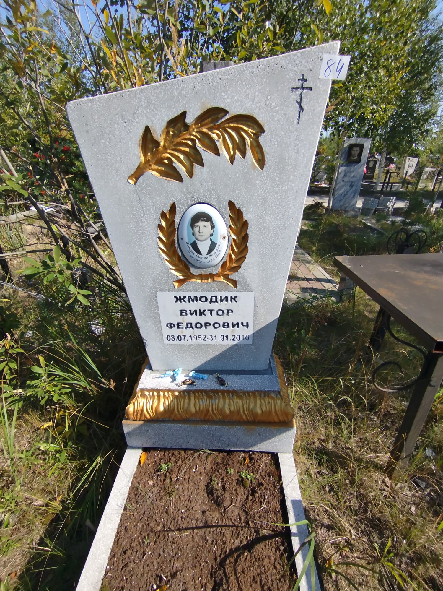 Жмодик Виктор Федорович