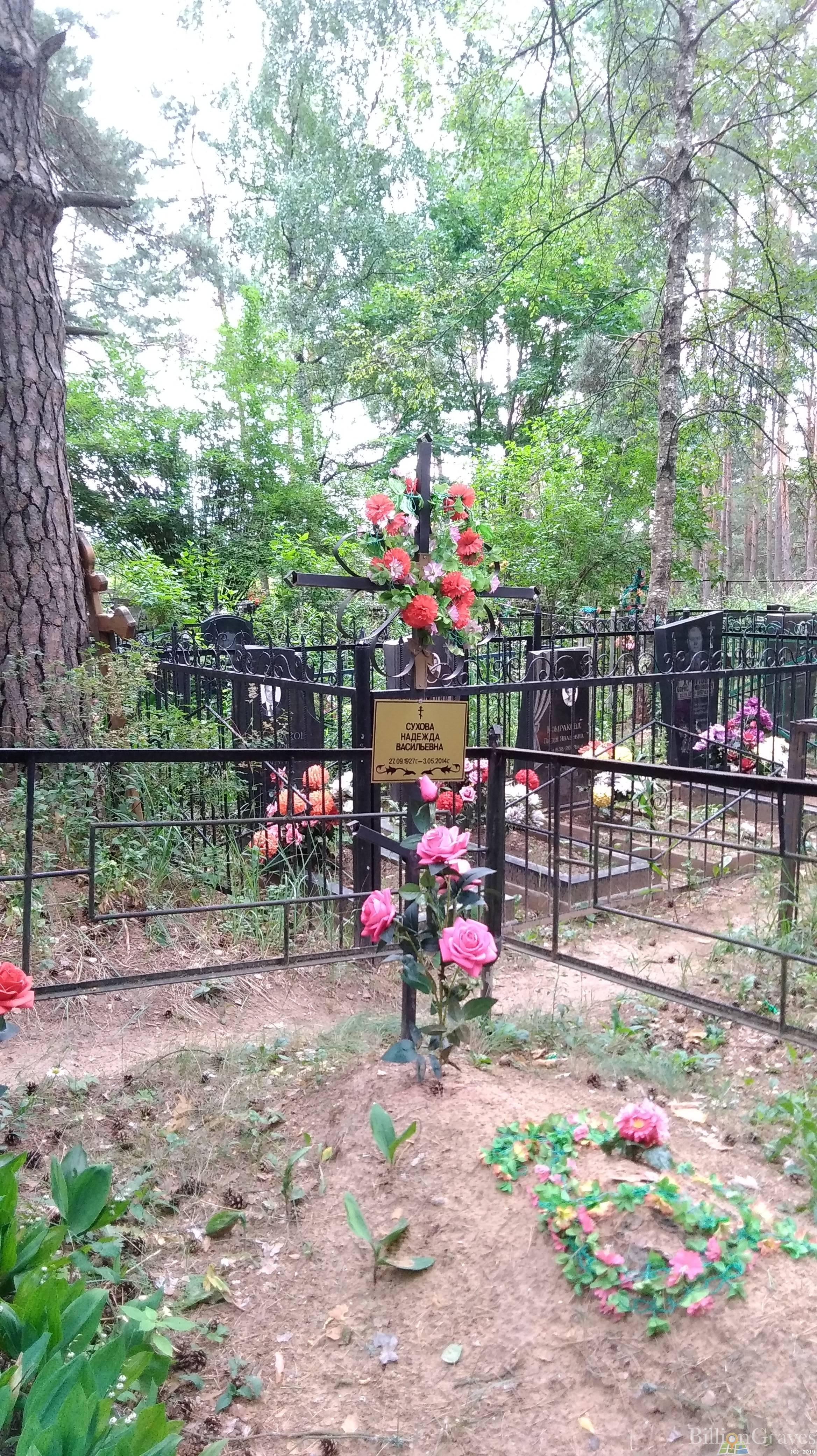 Сухова Надежда Васильевна