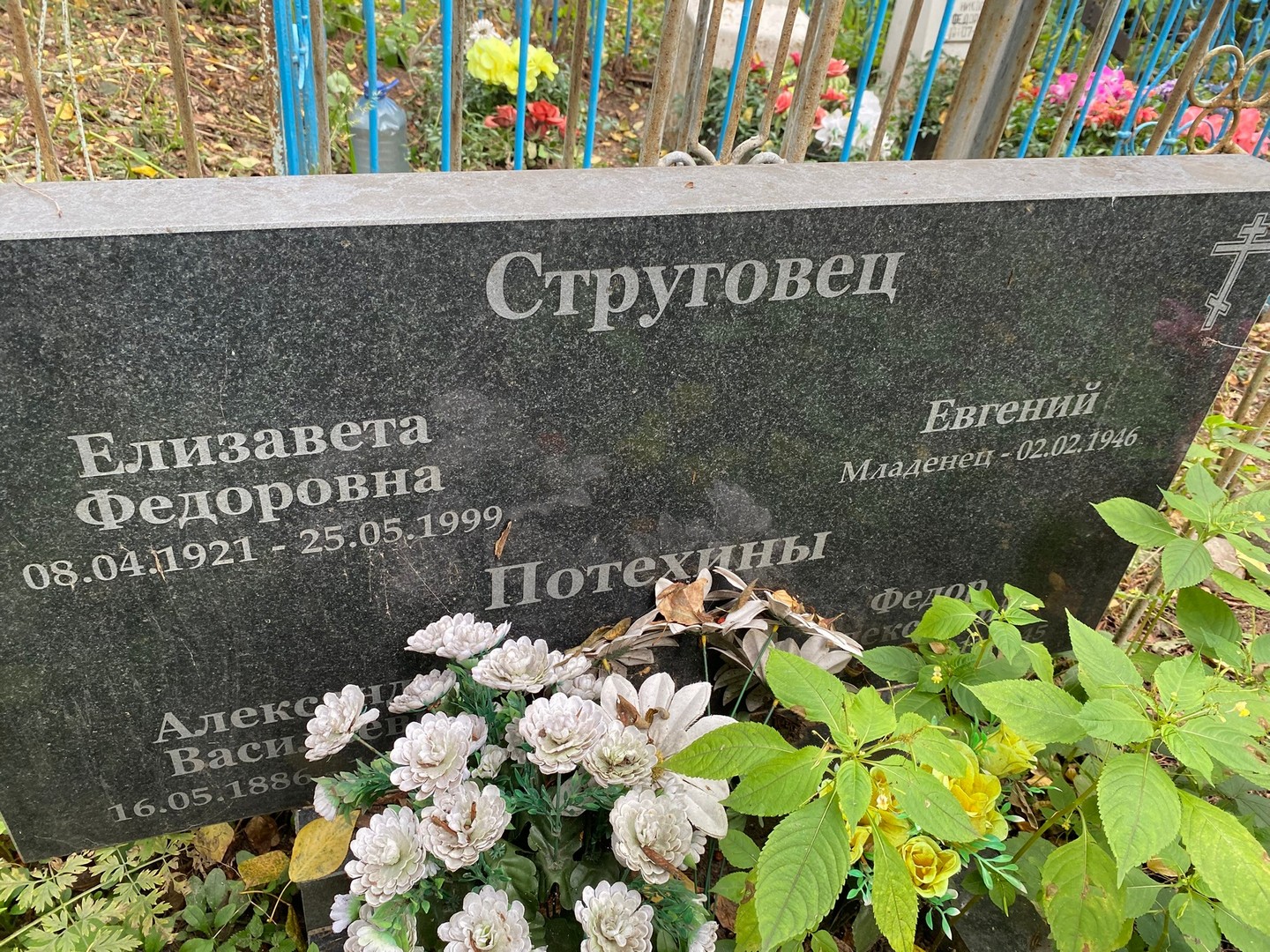 Струговец