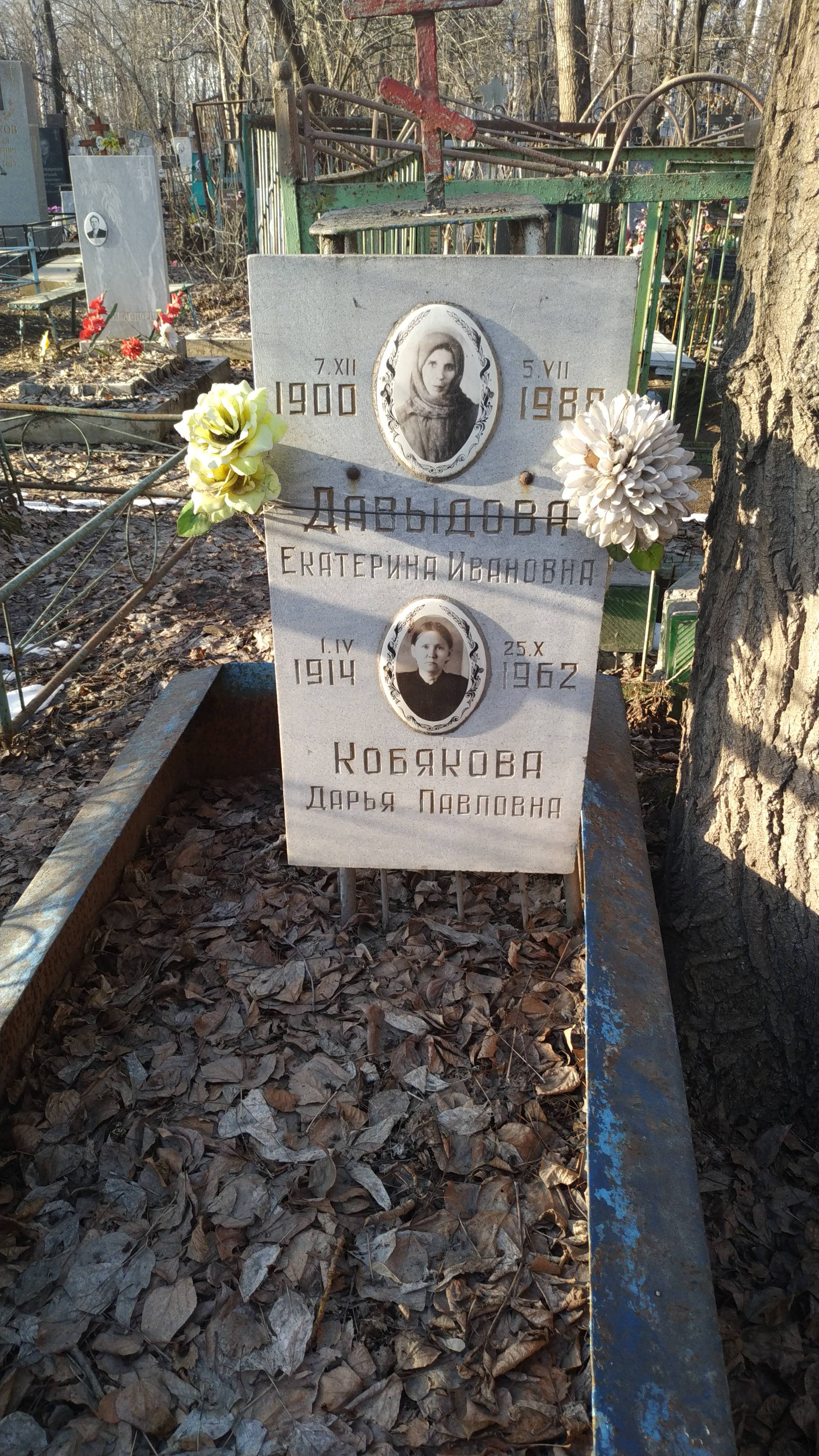 Кобякова Дарья Павловна