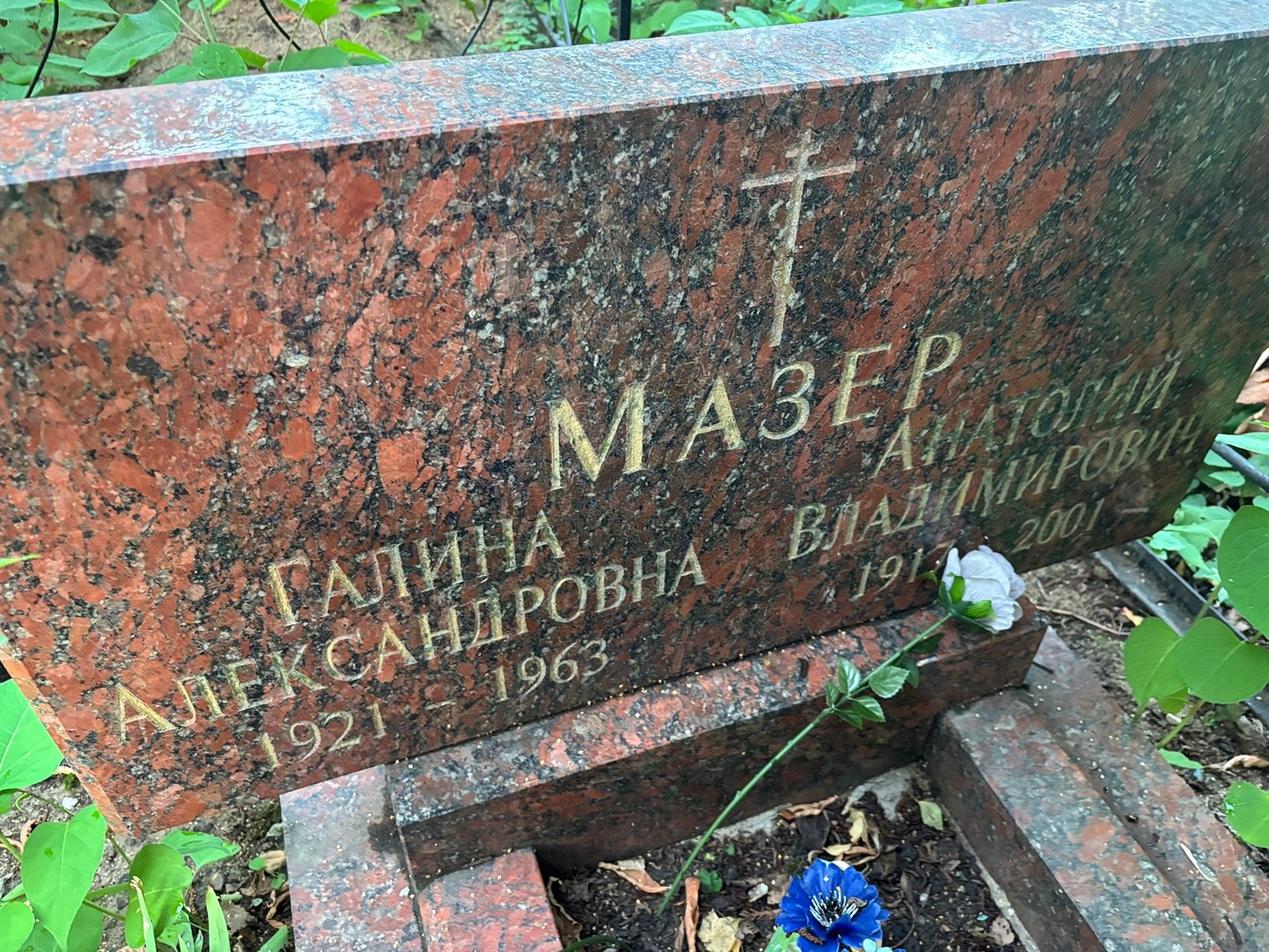 Мазер
