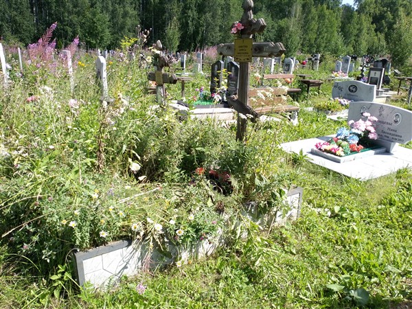 Ахматова Анфуса Николаевна