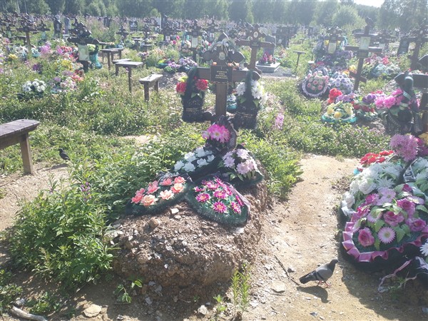 Краевская Елена Викторовна