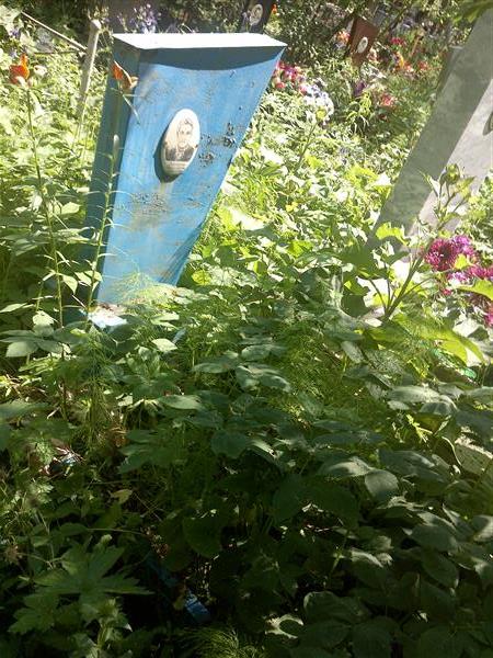Пономарёва Анастасия Назаровна