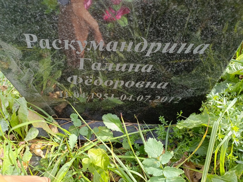 Раскумандрина