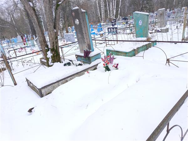 Дылдин Николай Петрович
