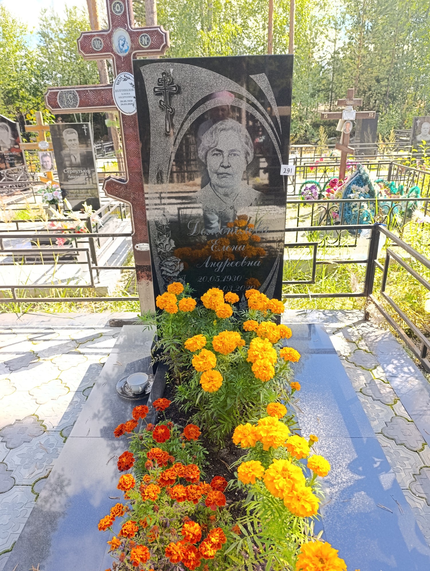 Долгополова Елена Андреевна