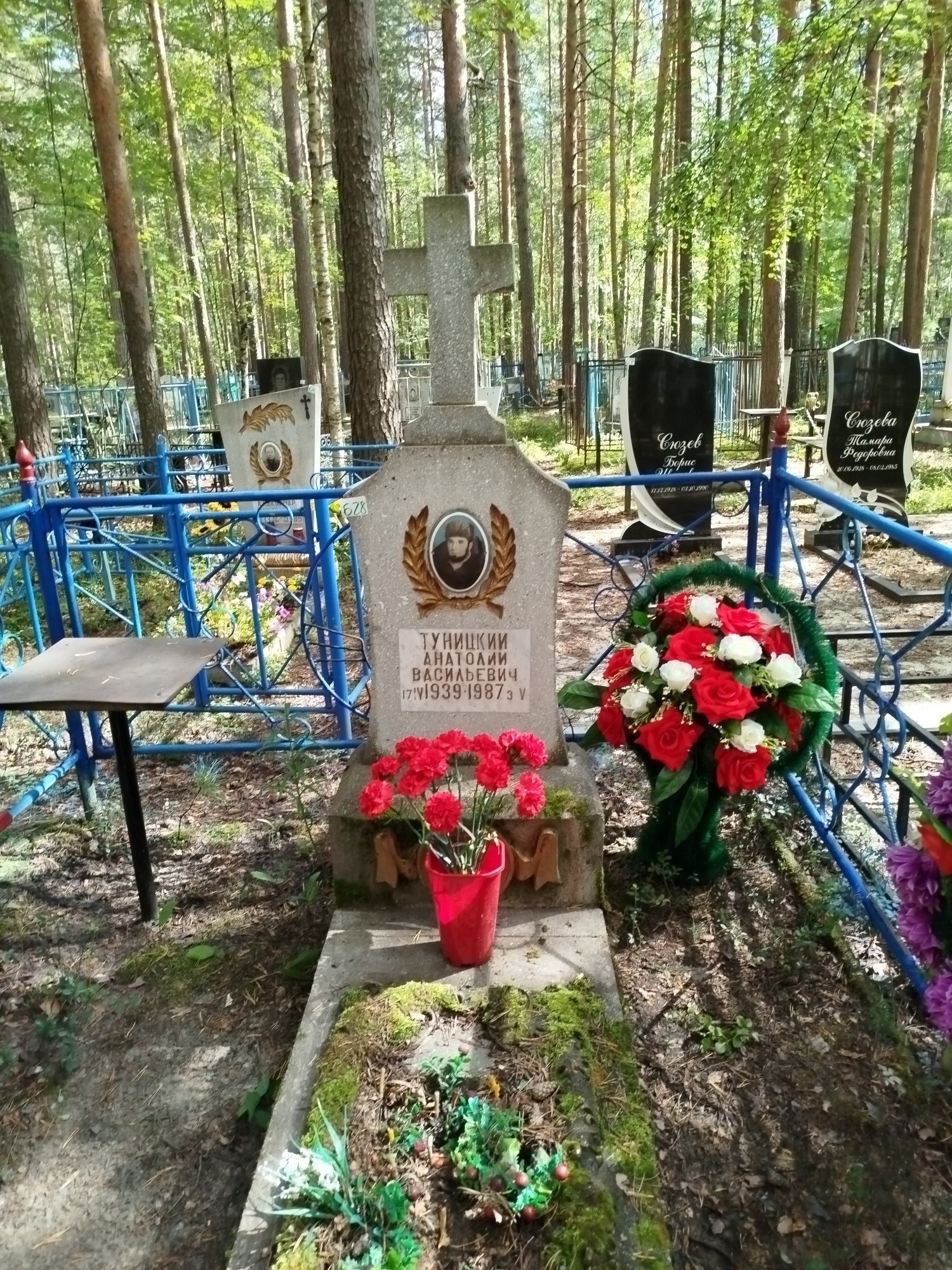 Туницкий Анатолий Васильевич