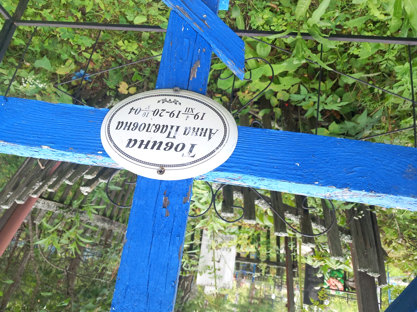 Товина Анна Павловна