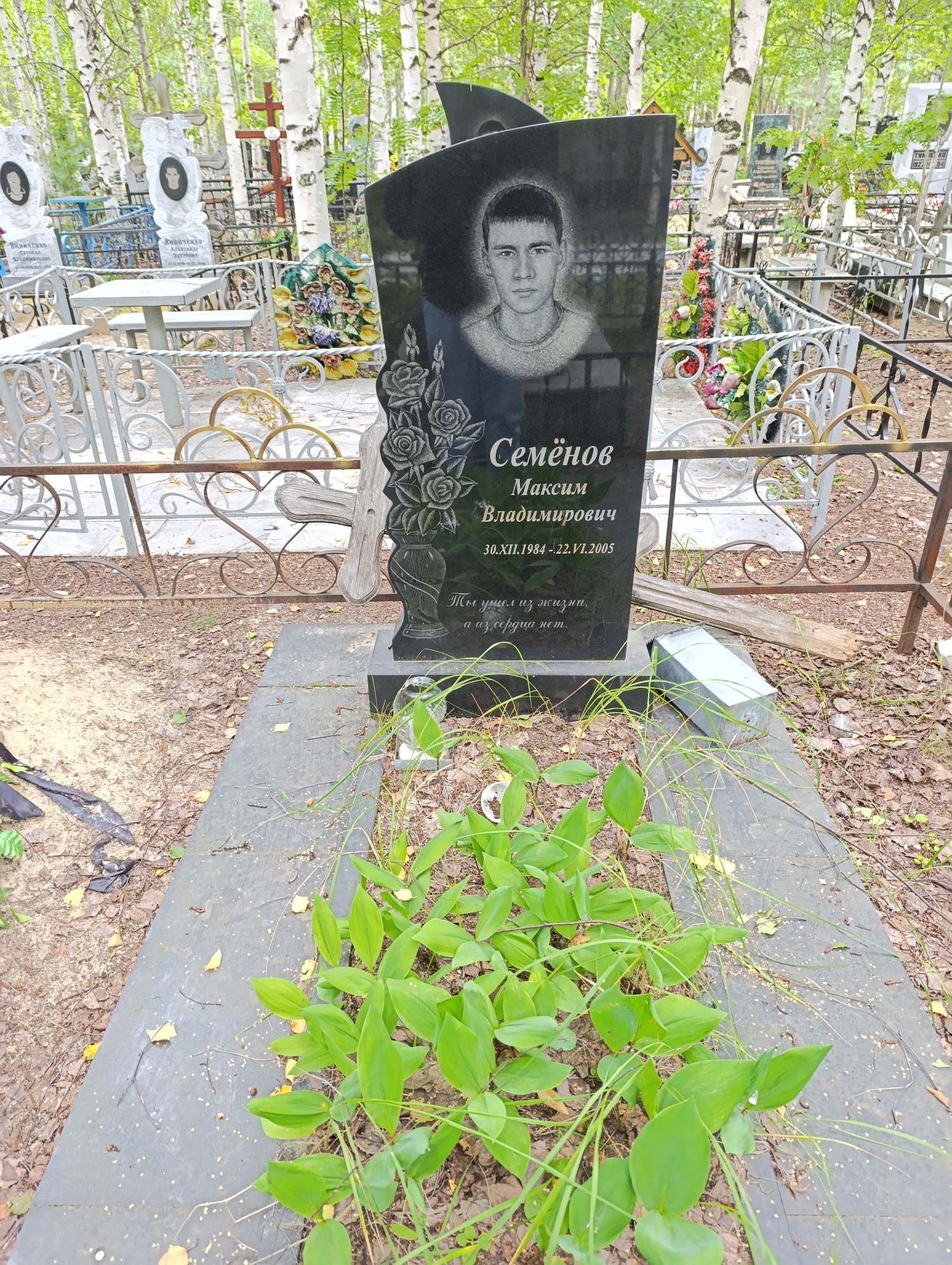 Семёнов Максим Владимирович
