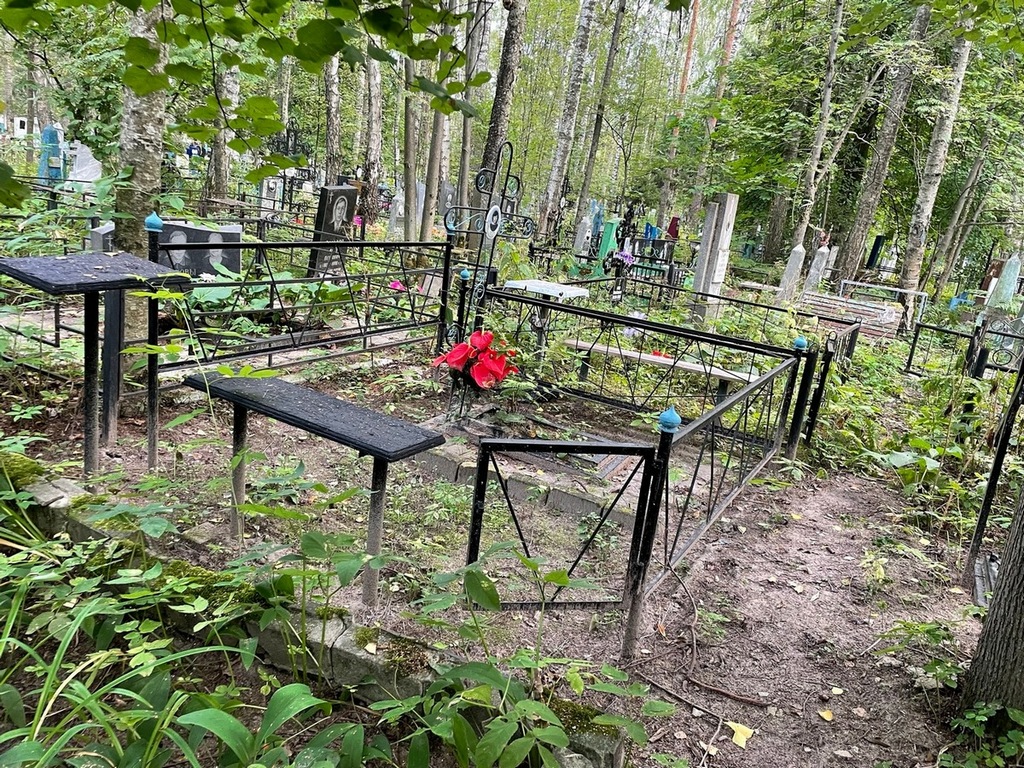 Костина Людмила Николаевна