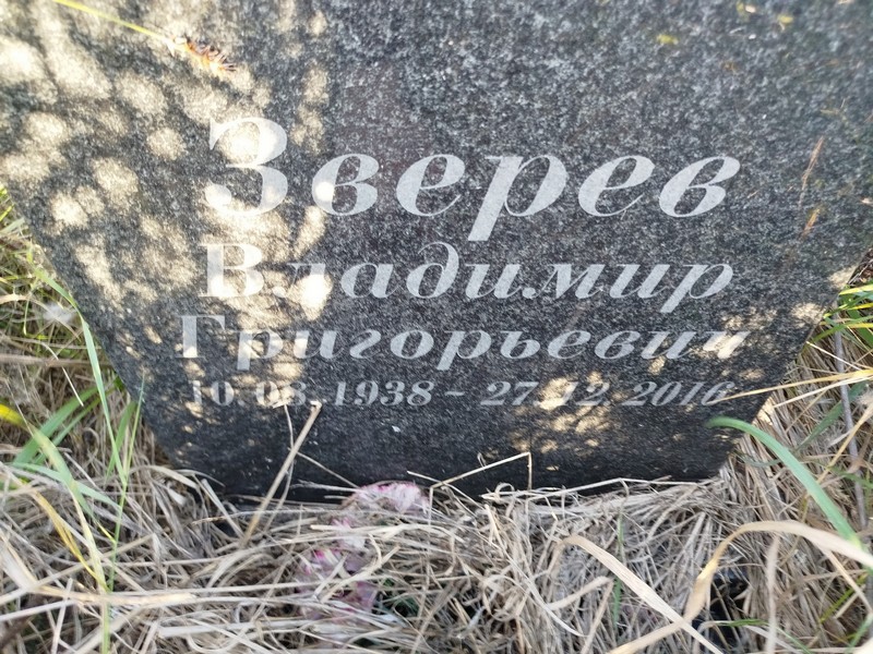 Зверев