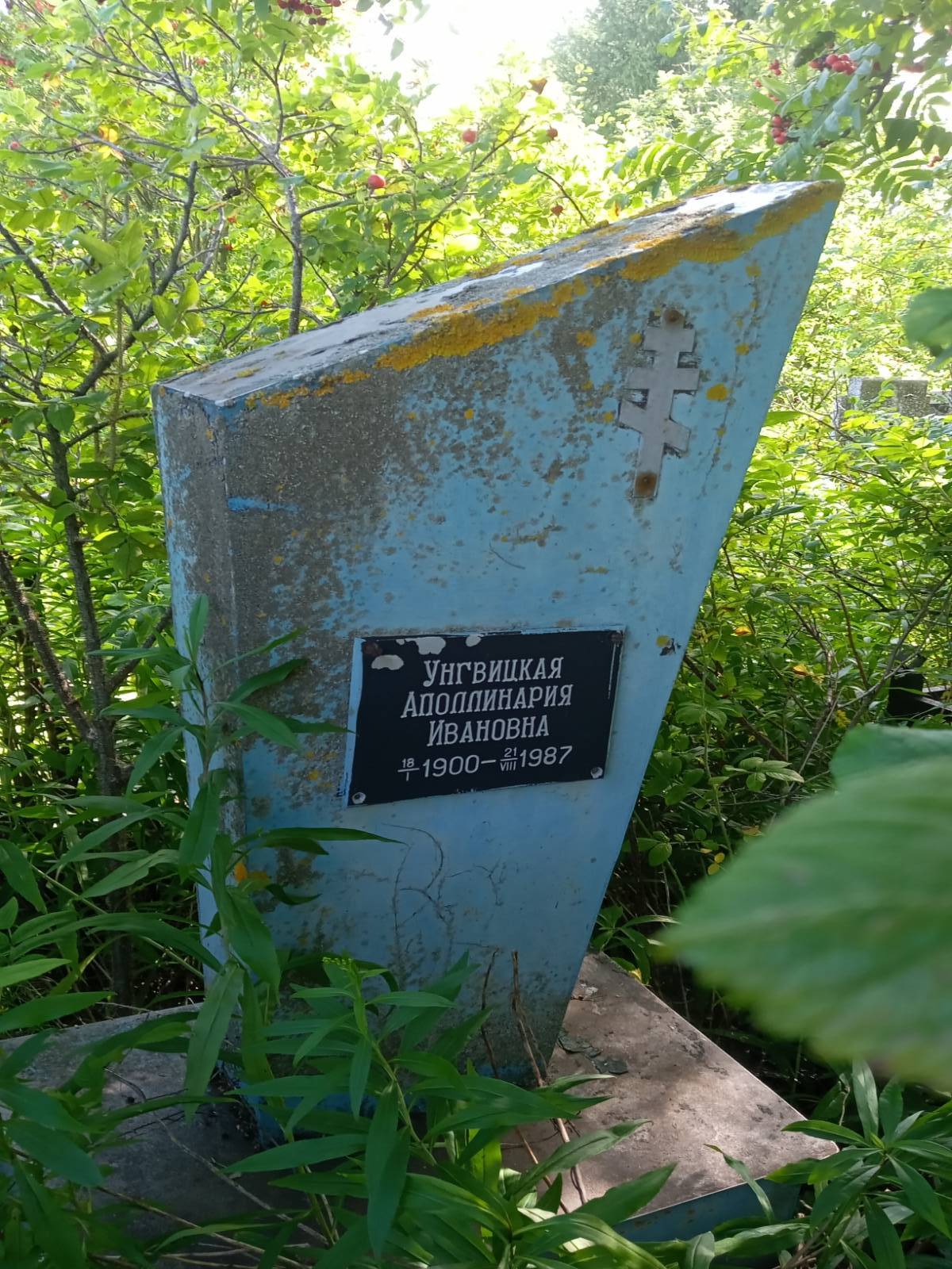 Унгвицкая Аполлинария Ивановна