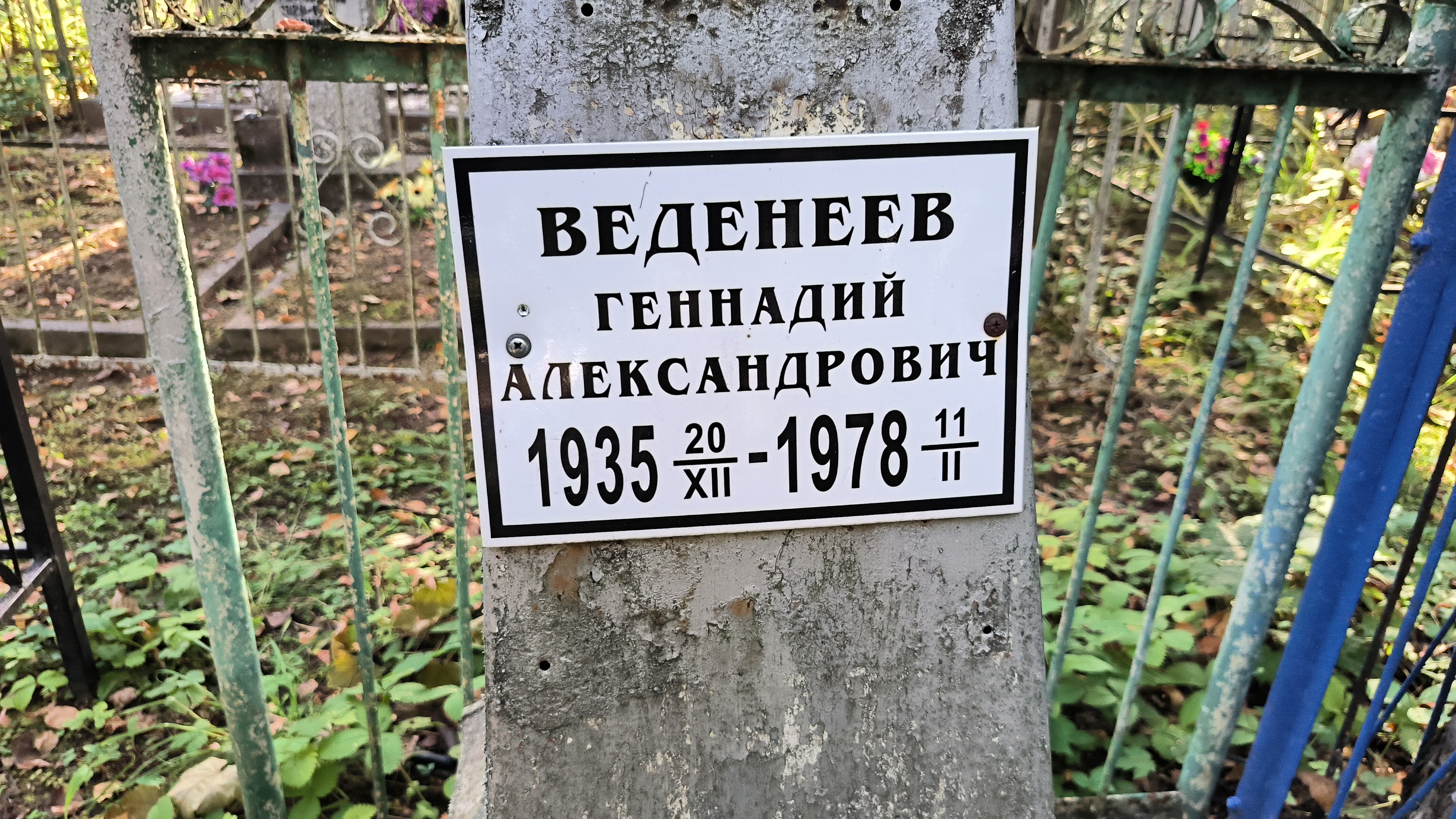 Веденеев Геннадий Александрович