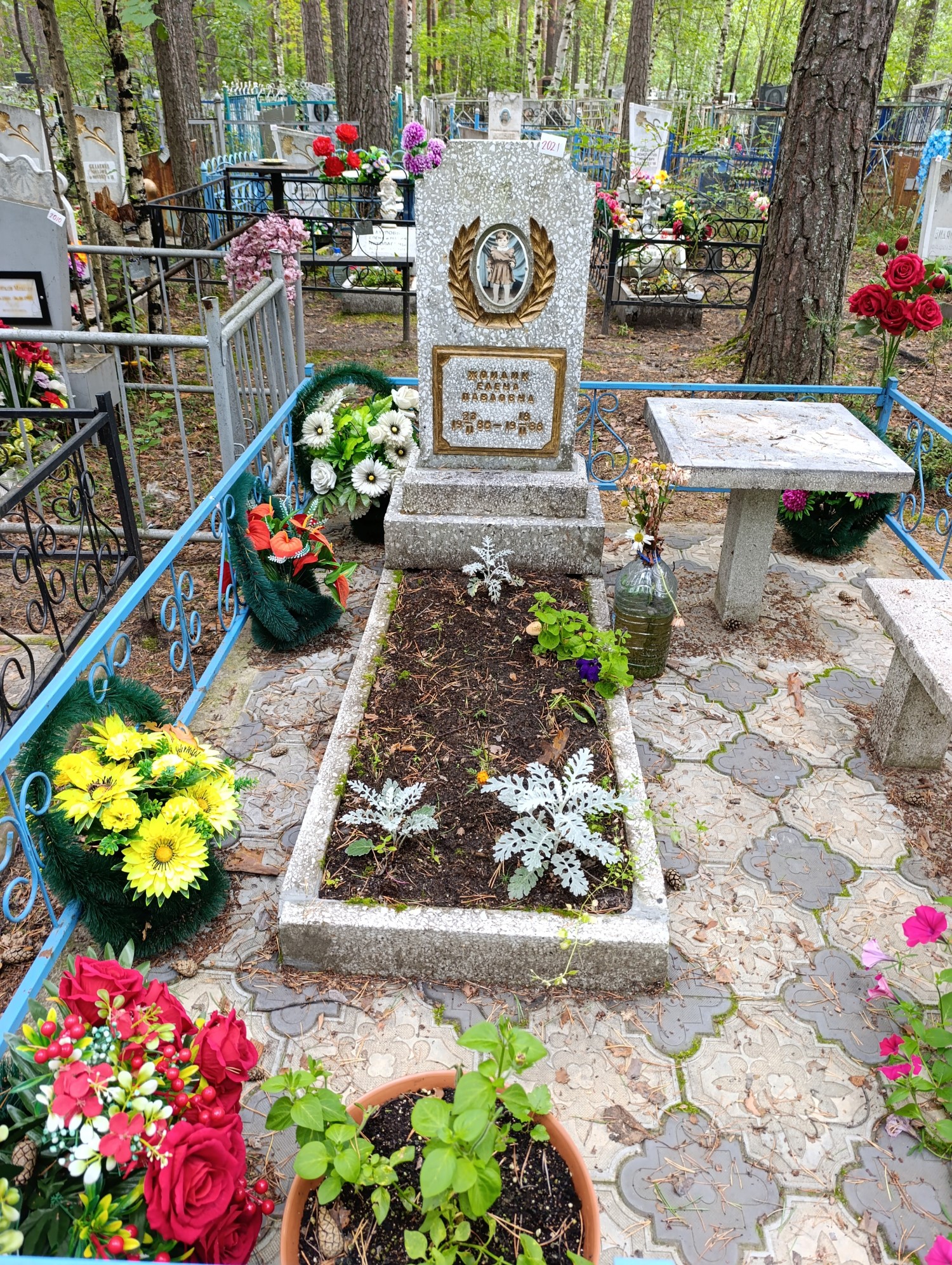 Жойдик Елена Павловна