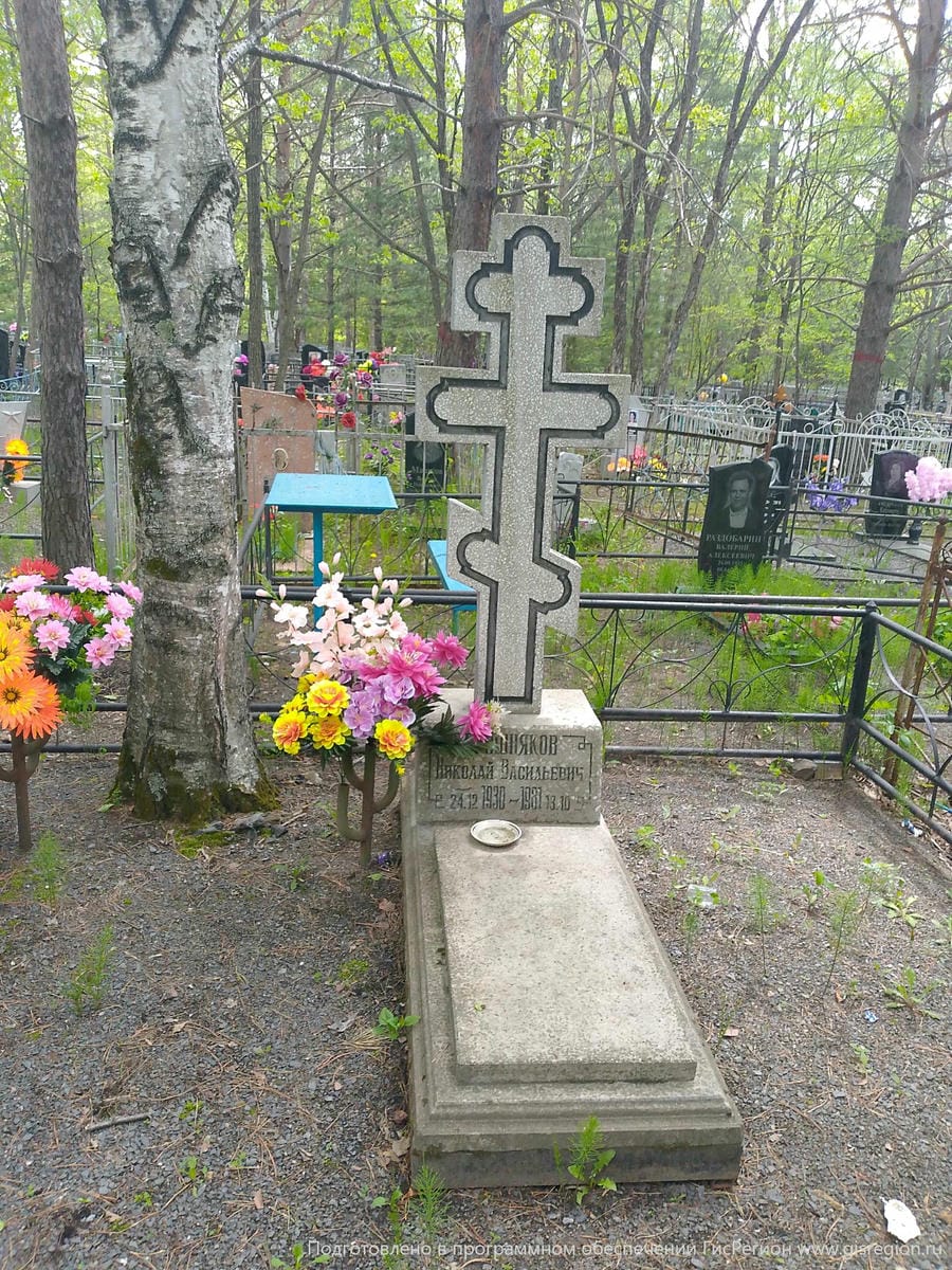 Гришняков Николай Васильевич