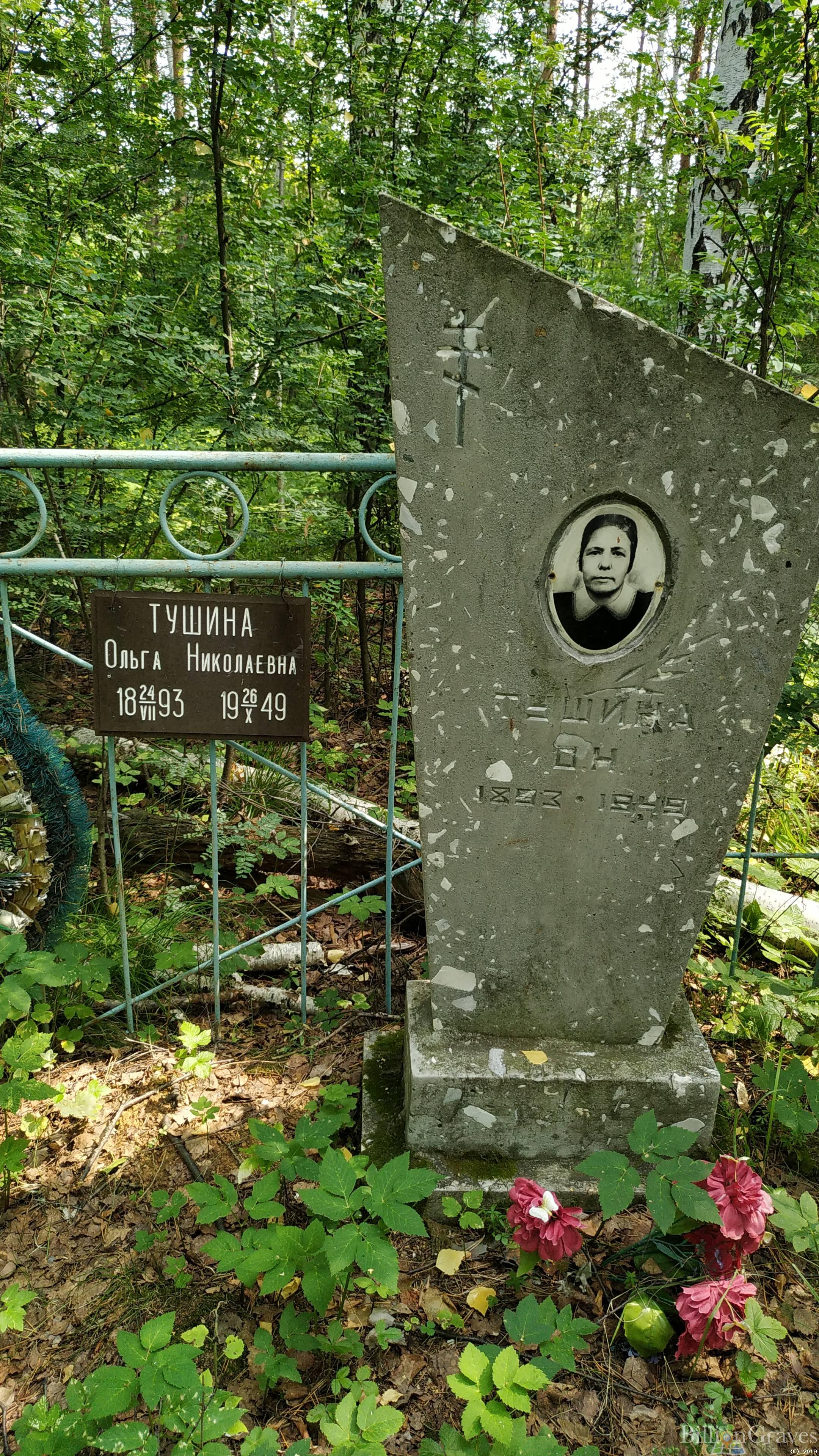 Тушина Ольга Николаевна