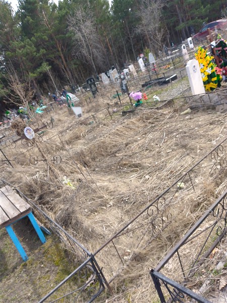 Илюшкина Алёна Викторовна