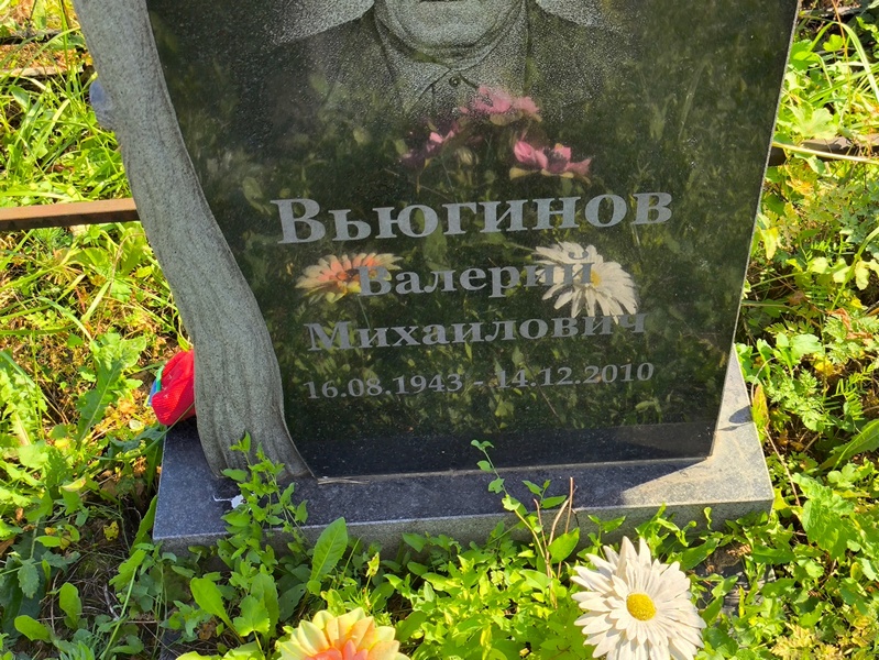 Вьюгинов