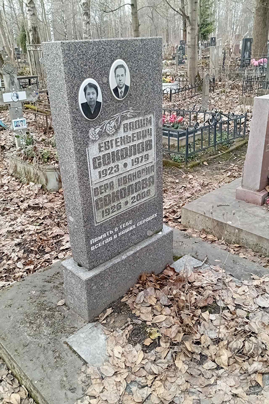 Соколов Вадим Евгеньевич