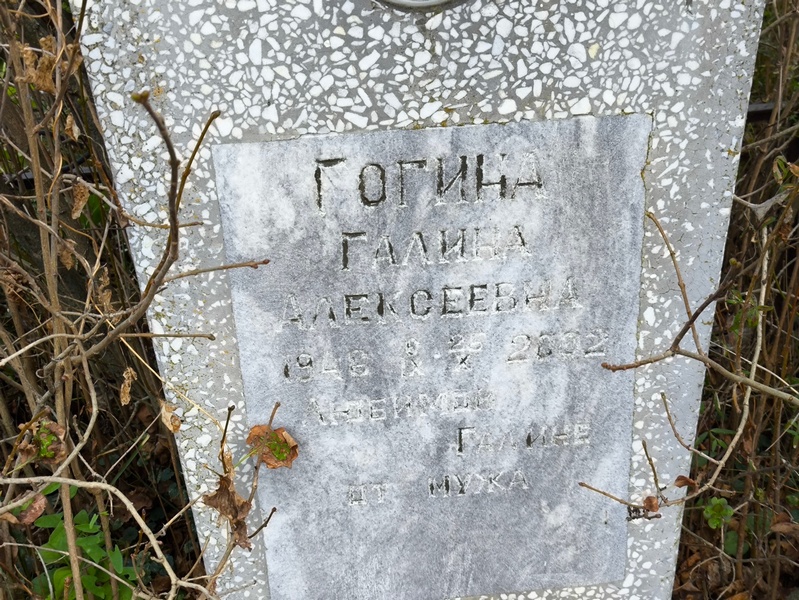 Гогина