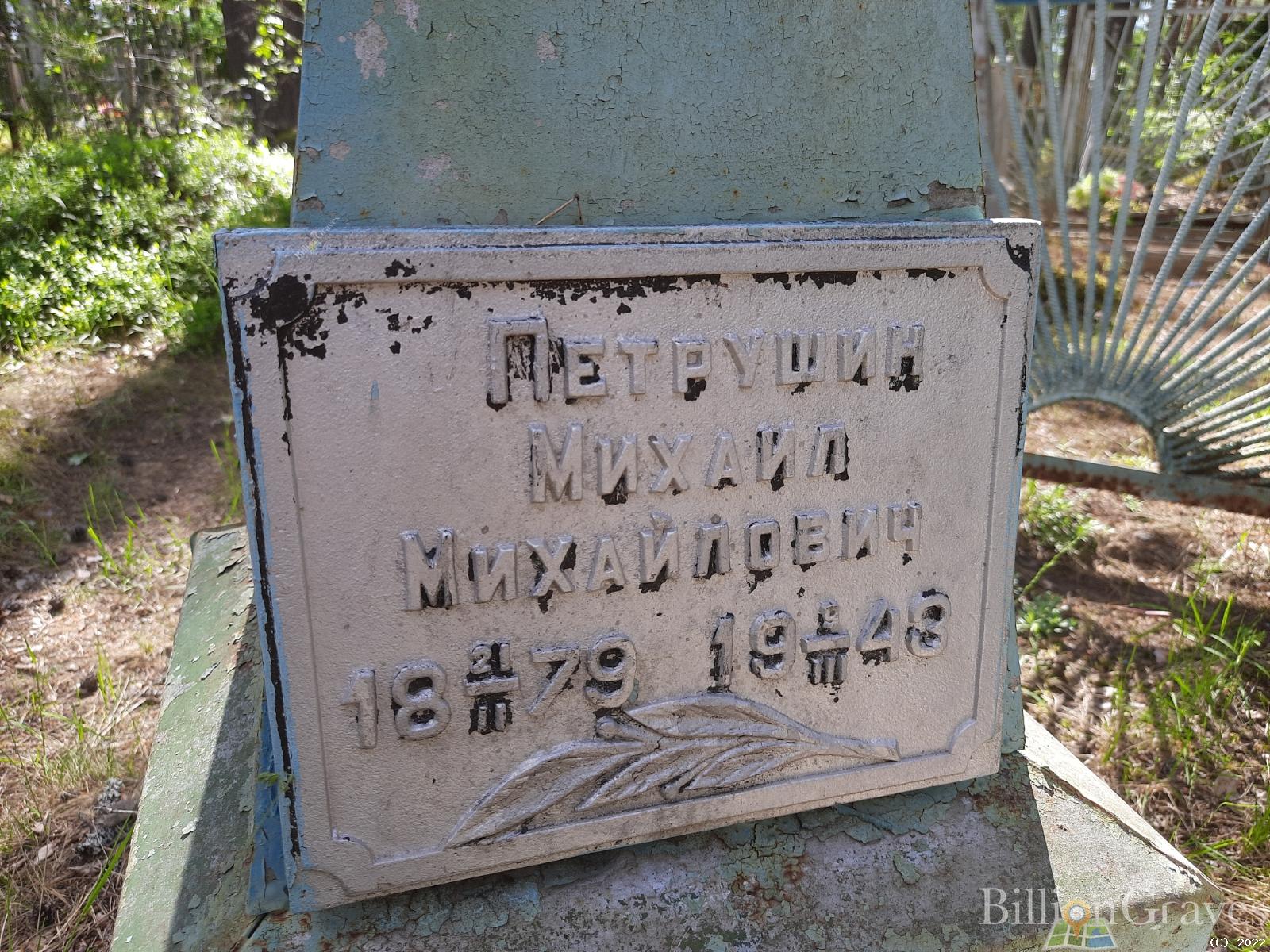 Петрушин Михаил Михайлович
