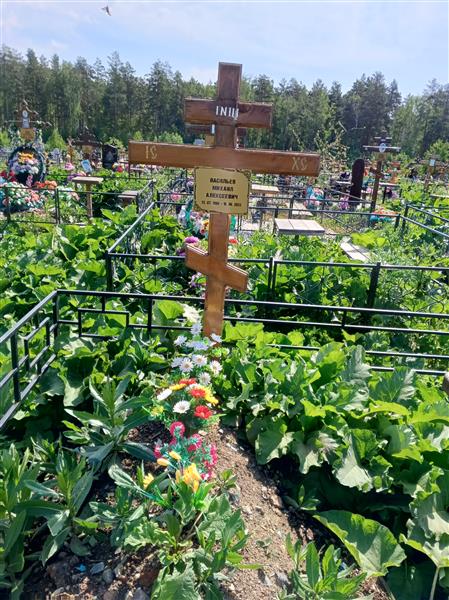 Васильев Михаил Алексеевич