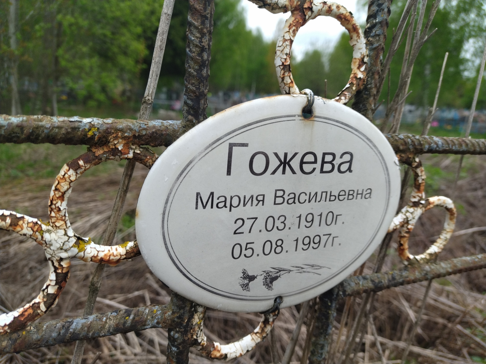 Гожева Мария Васильевна