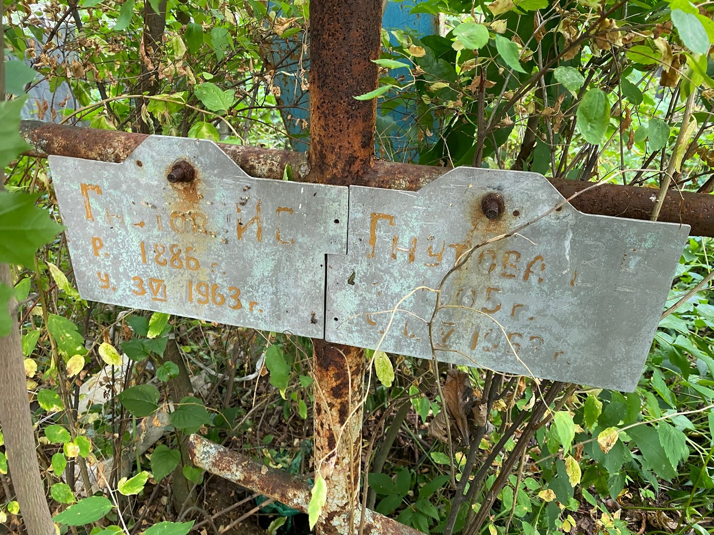 И Гнутов С